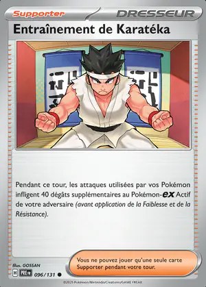 Entra&icirc;nement de Karat&eacute;ka 096/131