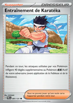 Entra&icirc;nement de Karat&eacute;ka 097/131