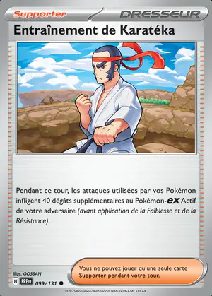 Entra&icirc;nement de Karat&eacute;ka 099/131