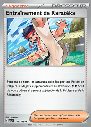 Entra&icirc;nement de Karat&eacute;ka 143/159