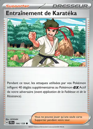 Entra&icirc;nement de Karat&eacute;ka 144/159