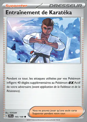 Entra&icirc;nement de Karat&eacute;ka 145/159