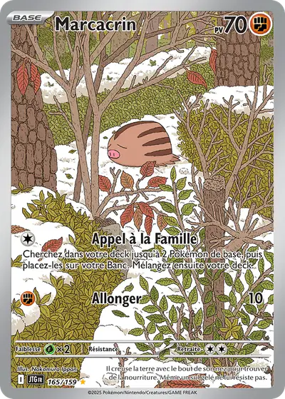 Image de la carte Pokemon Marcacrin 165/159