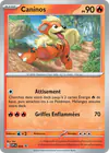 Image de la carte Caninos 024/