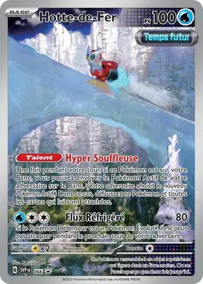 Image de la carte Pokemon Hotte-de-Fer 066/