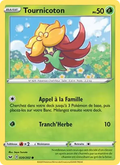 Image de la carte Pokemon Tournicoton 020/202