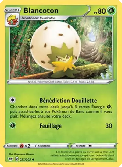 Image de la carte Pokemon Blancoton 021/202