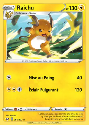 Raichu 066/202