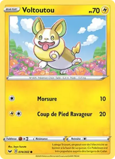Image de la carte Pokemon Voltoutou 074/202