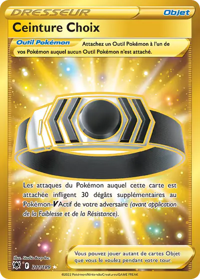 Image de la carte Pokemon Ceinture Choix 211/189