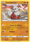 Image de la carte Caninos de Hisui 070/189