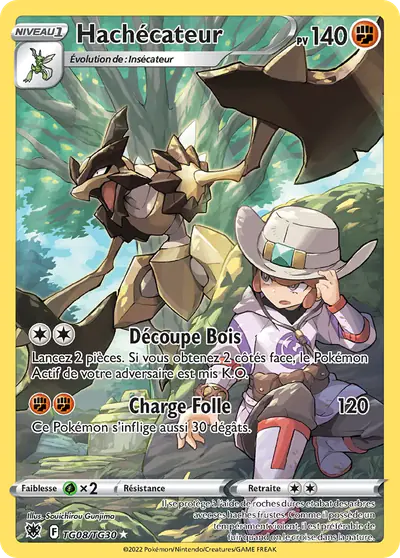 Image de la carte Pokemon Hachécateur TG08/189