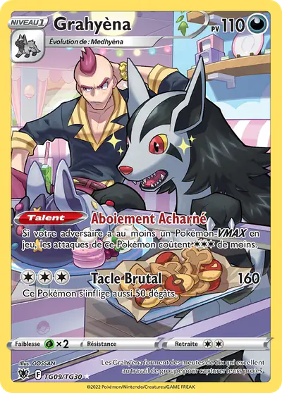 Image de la carte Pokemon Grahyèna TG09/189