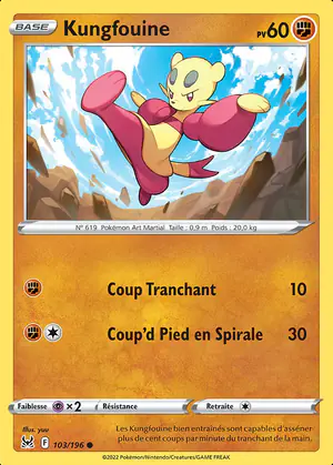 Kungfouine 103/196