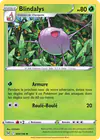 Image de la carte Blindalys 009/196