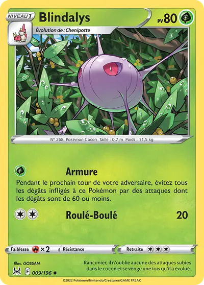 Image de la carte Pokemon Blindalys 009/196