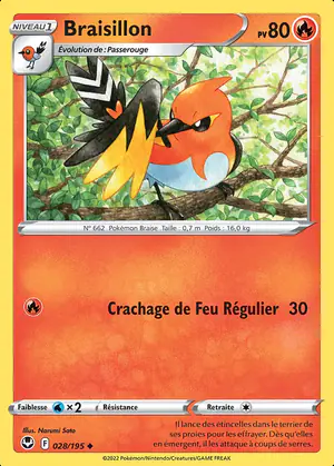 Braisillon 028/195