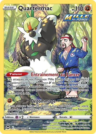 Image de la carte Pokemon Quartermac TG08/195