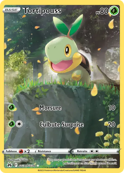 Image de la carte Pokemon Tortipouss GG31/159