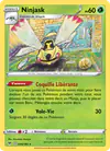 Image de la carte Ninjask 014/185