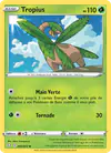 Image de la carte Tropius 005/072