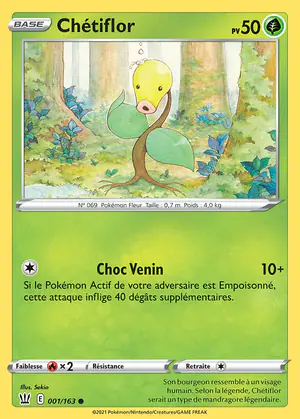 Ch&eacute;tiflor 001/163