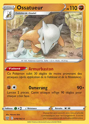 Ossatueur 070/163