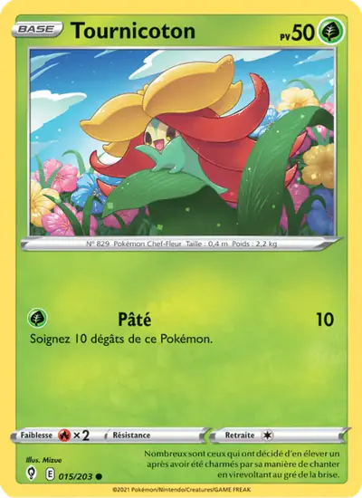 Image de la carte Pokemon Tournicoton 015/203