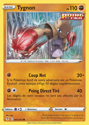 Tygnon 081/203