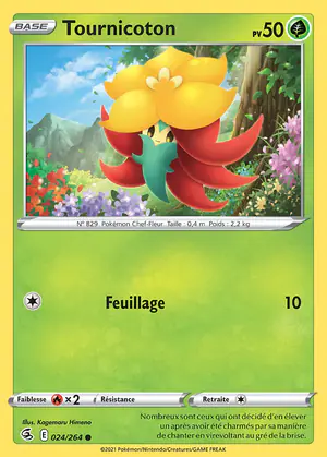 Tournicoton 024/264