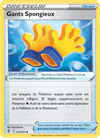 Image de la carte Gants Spongieux 243/264