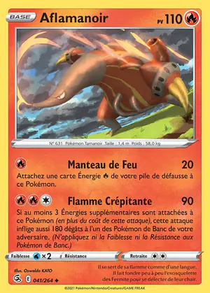 Aflamanoir 041/264