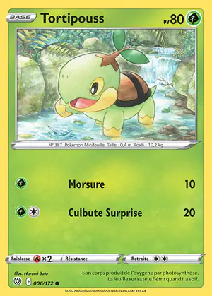 Tortipouss 006/172