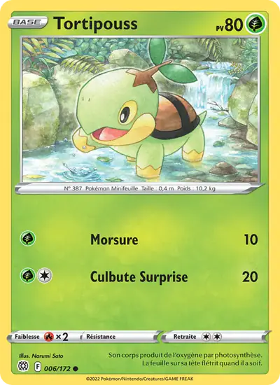 Image de la carte Pokemon Tortipouss 006/172