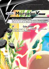Image de la carte Morpeko-V-UNION SWSH215/