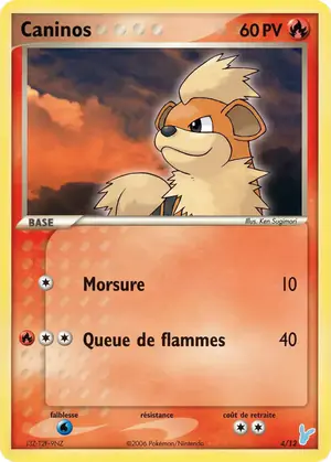 Caninos 4/12