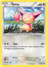 Image de la carte Skitty 28/39