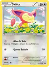 Image de la carte Skitty 104/146