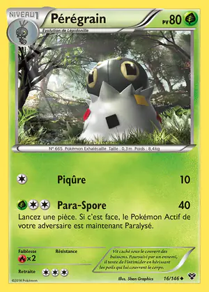 P&eacute;r&eacute;grain 16/146