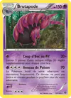 Image de la carte Brutapode 53/146