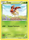 Image de la carte Coxy 6/146