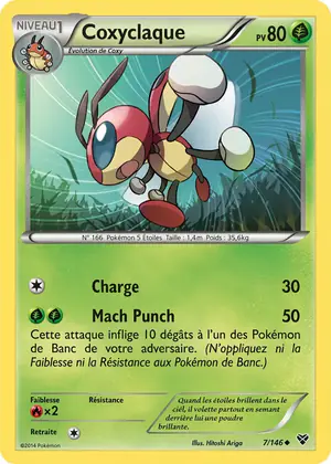 Coxyclaque 7/146