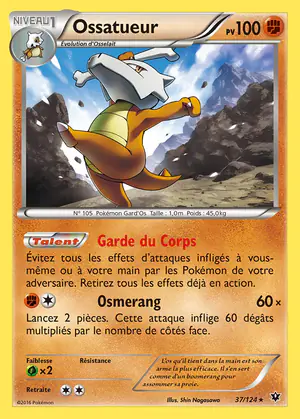 Ossatueur 37/124