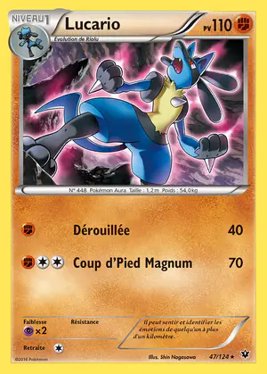 Lucario 47/124