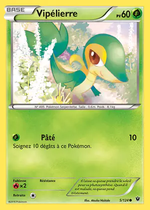 Vip&eacute;lierre 5/124