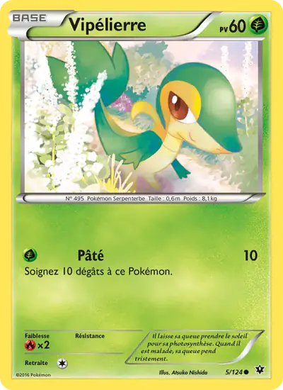 Image de la carte Pokemon Vipélierre 5/124