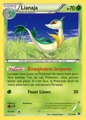 Lianaja 6/124