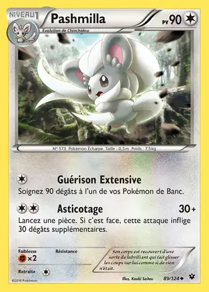 Pashmilla 89/124