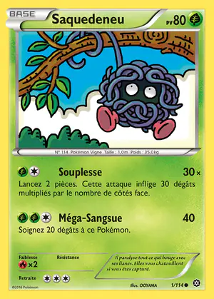 Saquedeneu 1/114