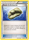 Image de la carte Fossile Griffe Anorith 100/114